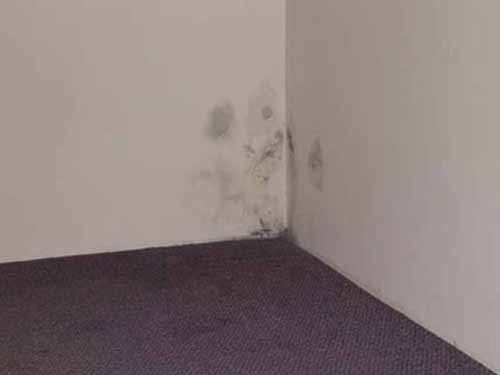 mould showing in inner wall
